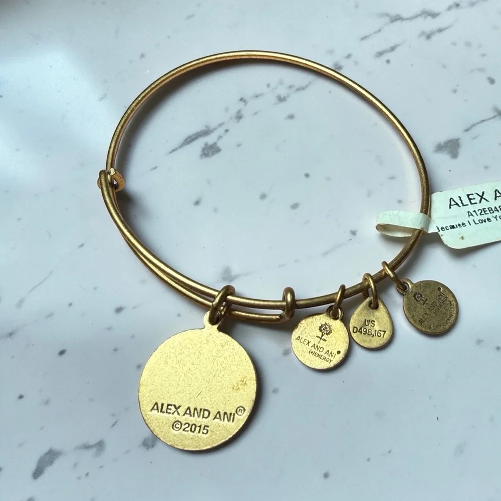 Alex and Ani “Because I Love‎ You Sister” Rafaelian Gold Expandable Charm Bangle